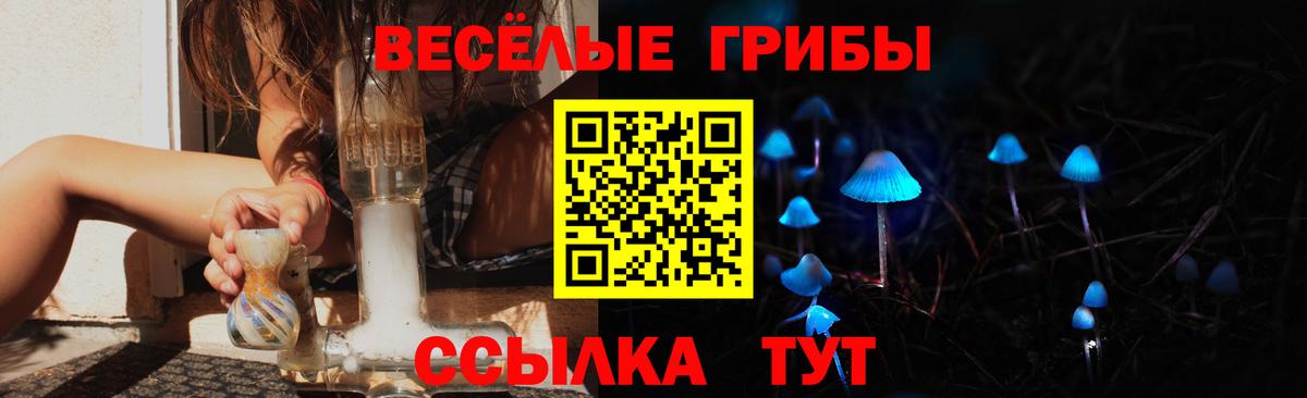 Галлюциногенные грибы Cubensis Иркутск